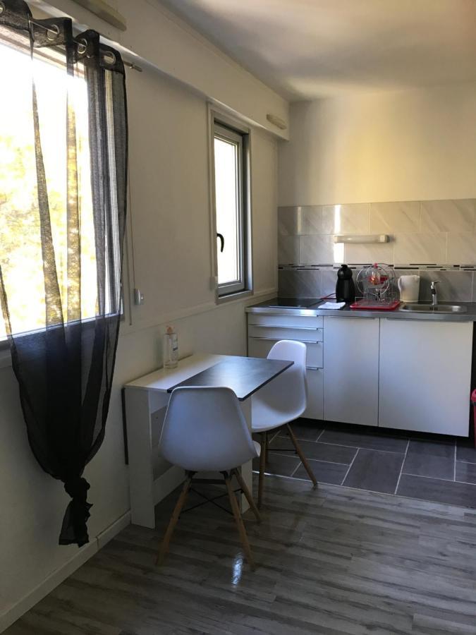 Studio Richelieu 1 Et Son Parking Prive Apartment Villeurbanne Bagian luar foto
